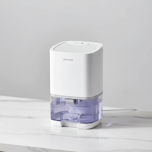 Photo studio premium