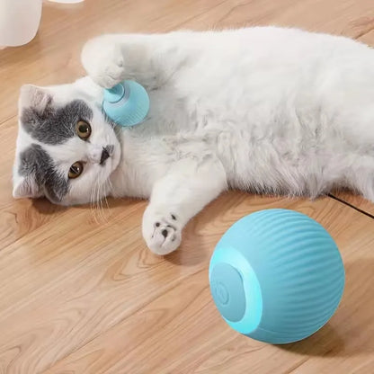 Balle Interactive Automatique pour Chat