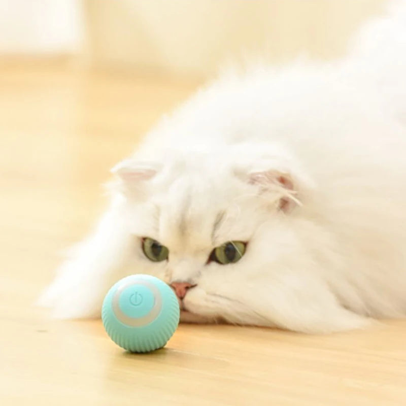 Balle Interactive Automatique pour Chat