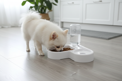 Chien mangeant dans la gamelle