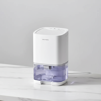 Photo studio premium